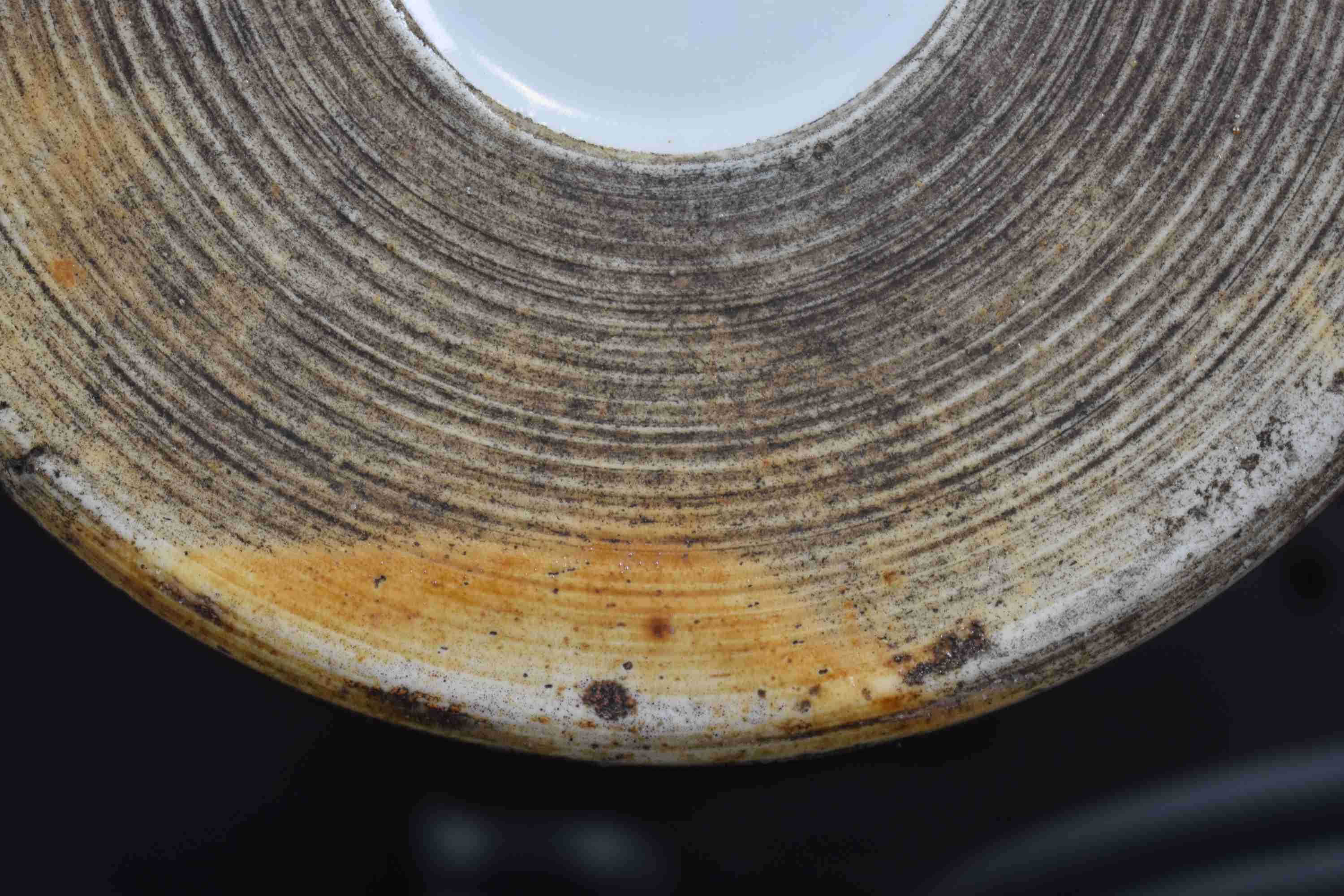 DSC_0909